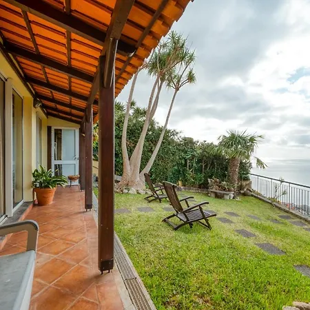 Palm Tree House By Amazing Madeira Villa Camara de Lobos Exterior photo