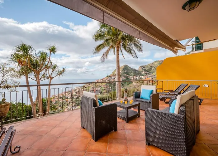 Palm Tree House By Amazing Madeira
