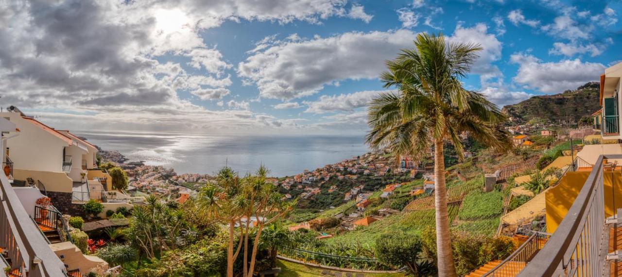Palm Tree House By Amazing Madeira Villa *