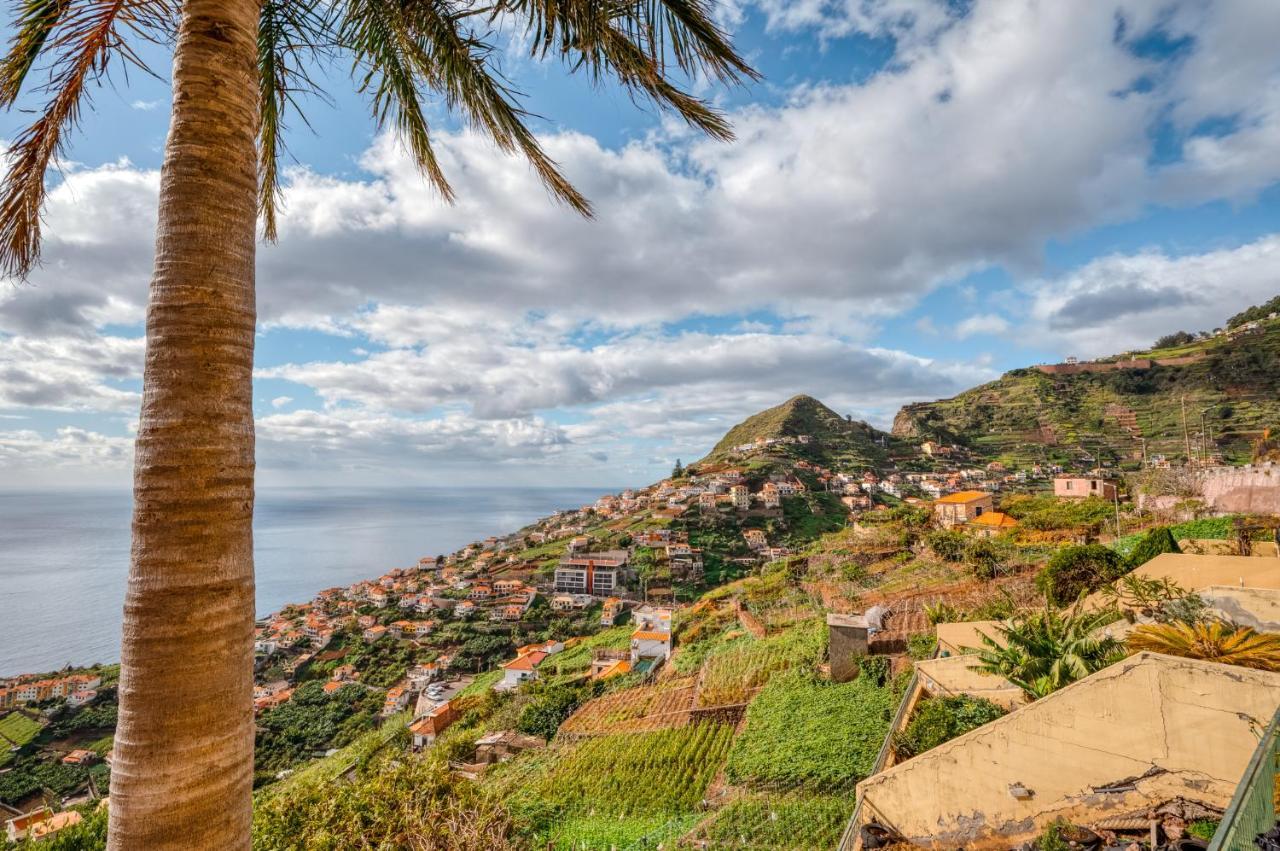Palm Tree House By Amazing Madeira Villa