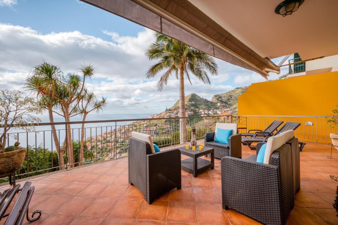 Palm Tree House By Amazing Madeira Villa