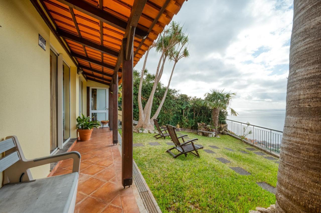 Palm Tree House By Amazing Madeira *