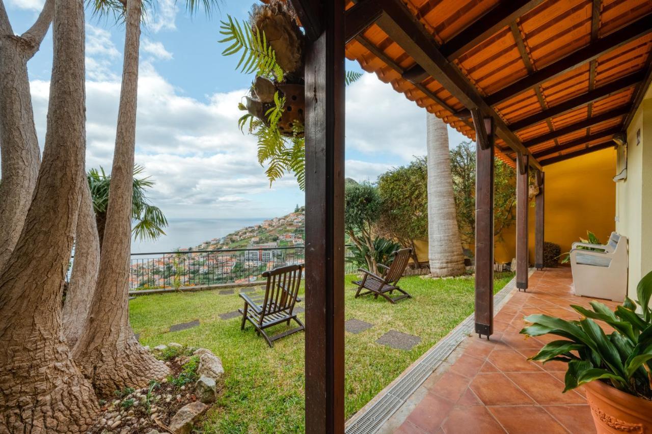 Palm Tree House By Amazing Madeira Camara de Lobos